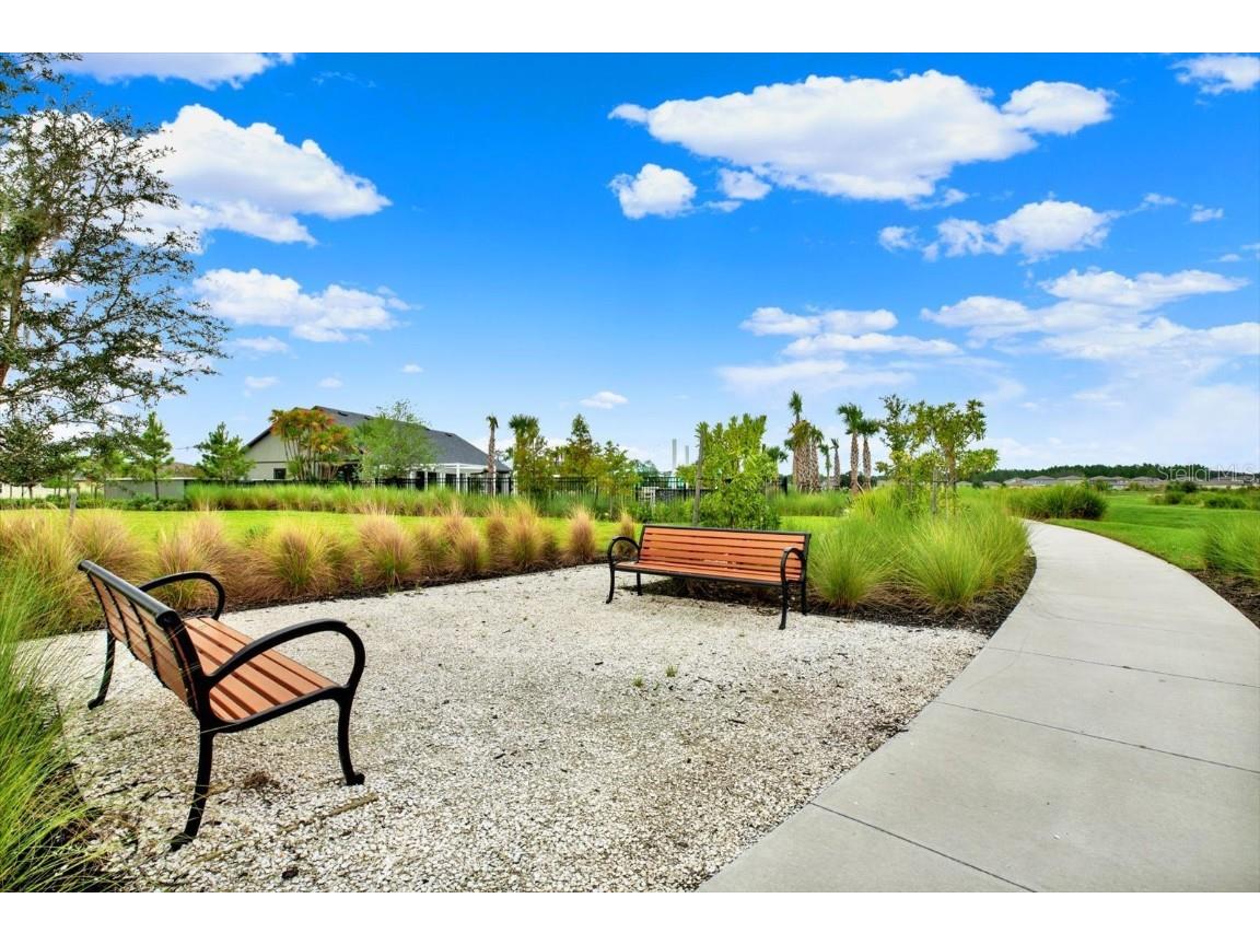 1726 Lanier Road Zephyrhills FL 33541 TB8427622 image57