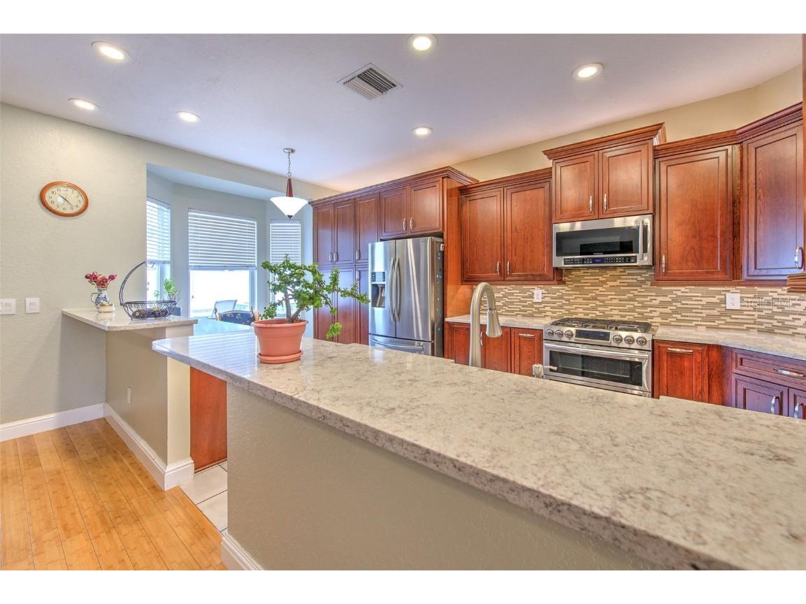 1726 Loriana Street Brandon FL 33511 TB8426201 image13