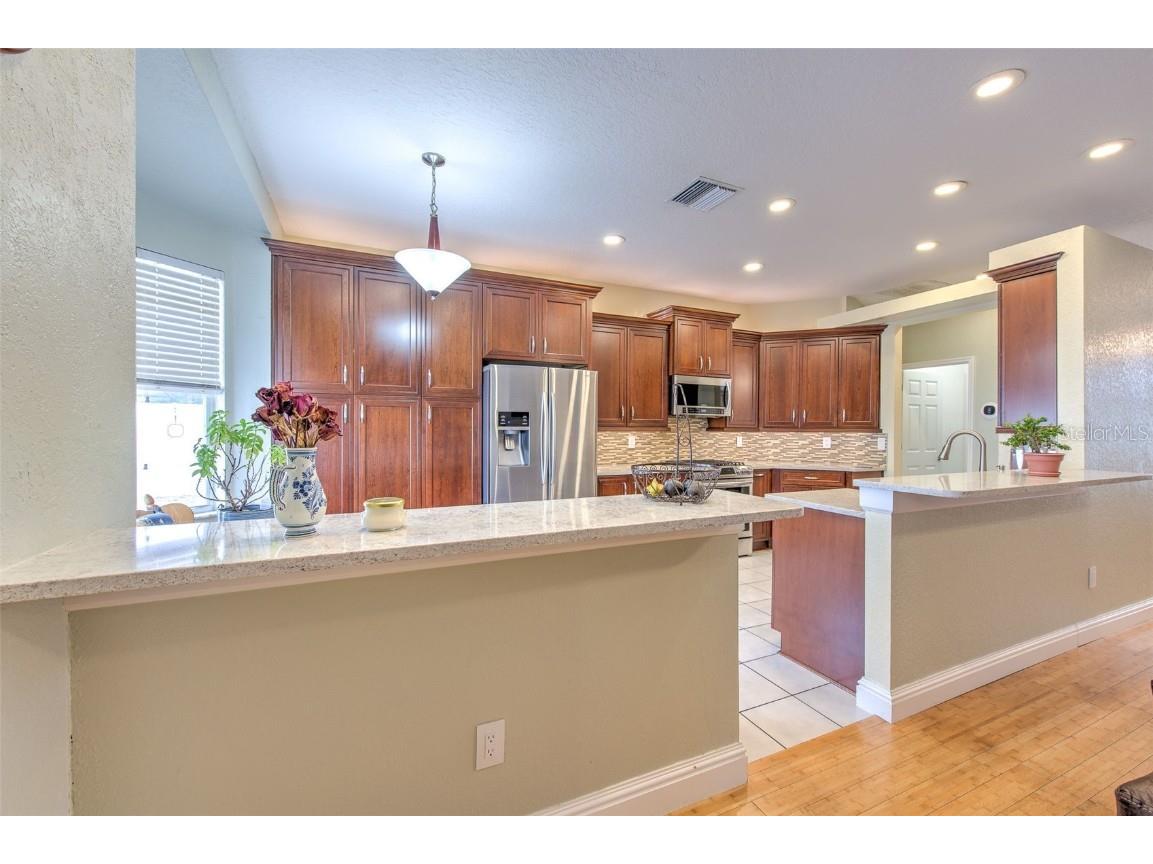 1726 Loriana Street Brandon FL 33511 TB8426201 image14