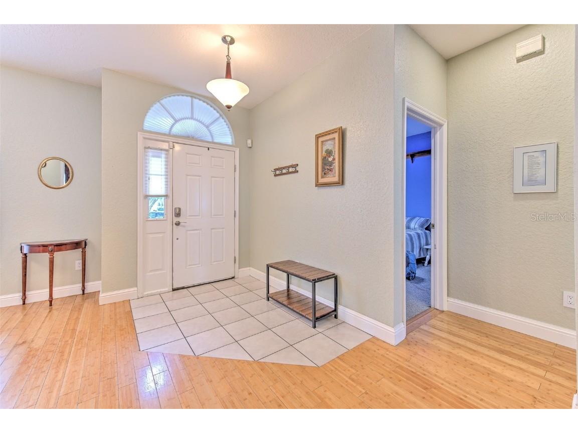 1726 Loriana Street Brandon FL 33511 TB8426201 image4