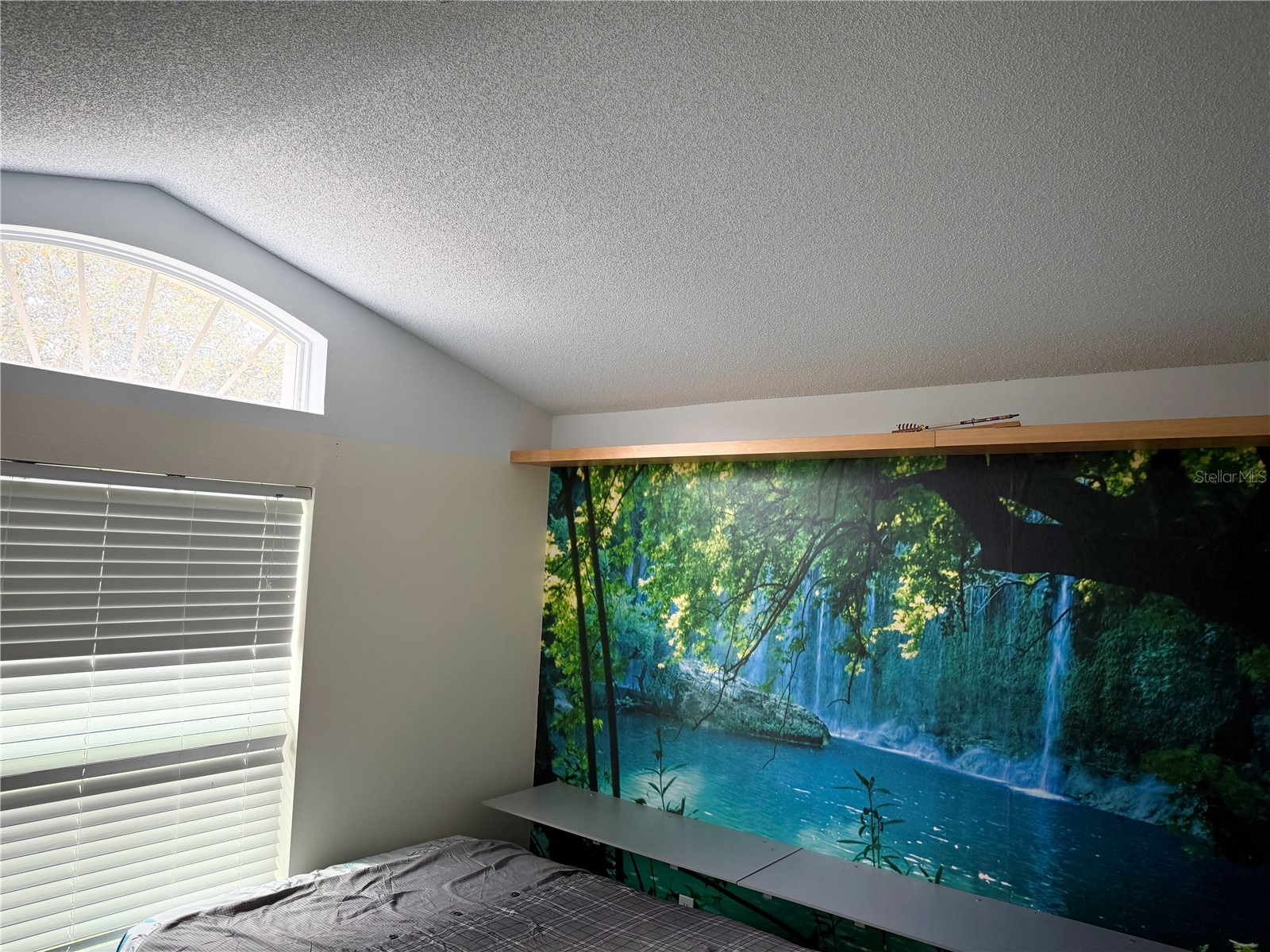 1726 Nestlewood Trail Orlando FL 32837 O6409221 image14