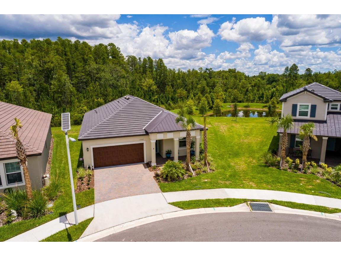 17263 Mango Shay Court Land O Lakes FL 34638 TB8386546 image1