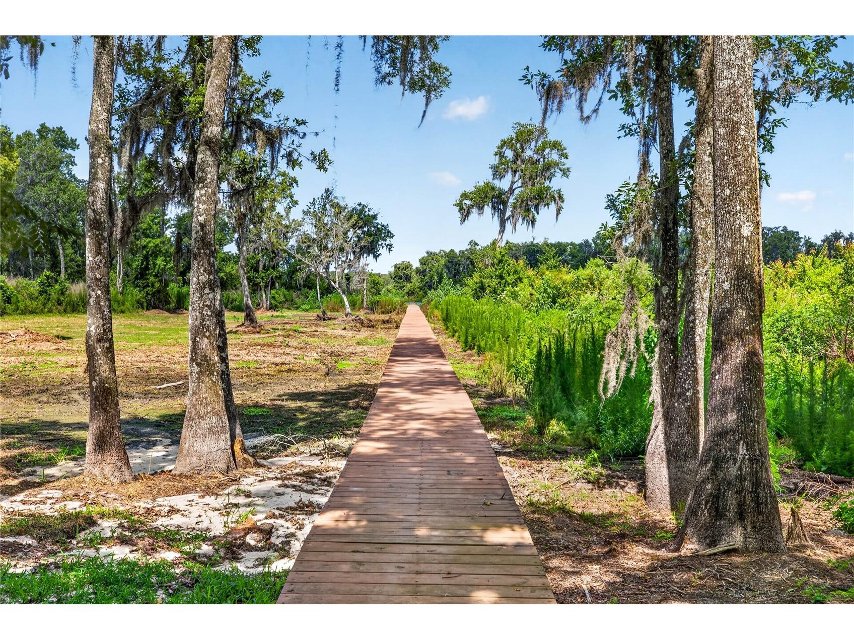 17265 Meadow Bluff View Dade City FL 33523 - Moody TB8517359 image10