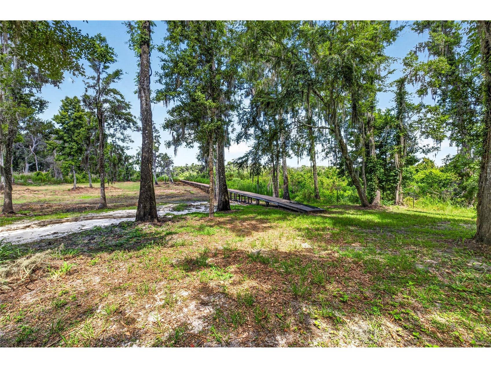 17265 Meadow Bluff View Dade City FL 33523 - Moody TB8517359 image13