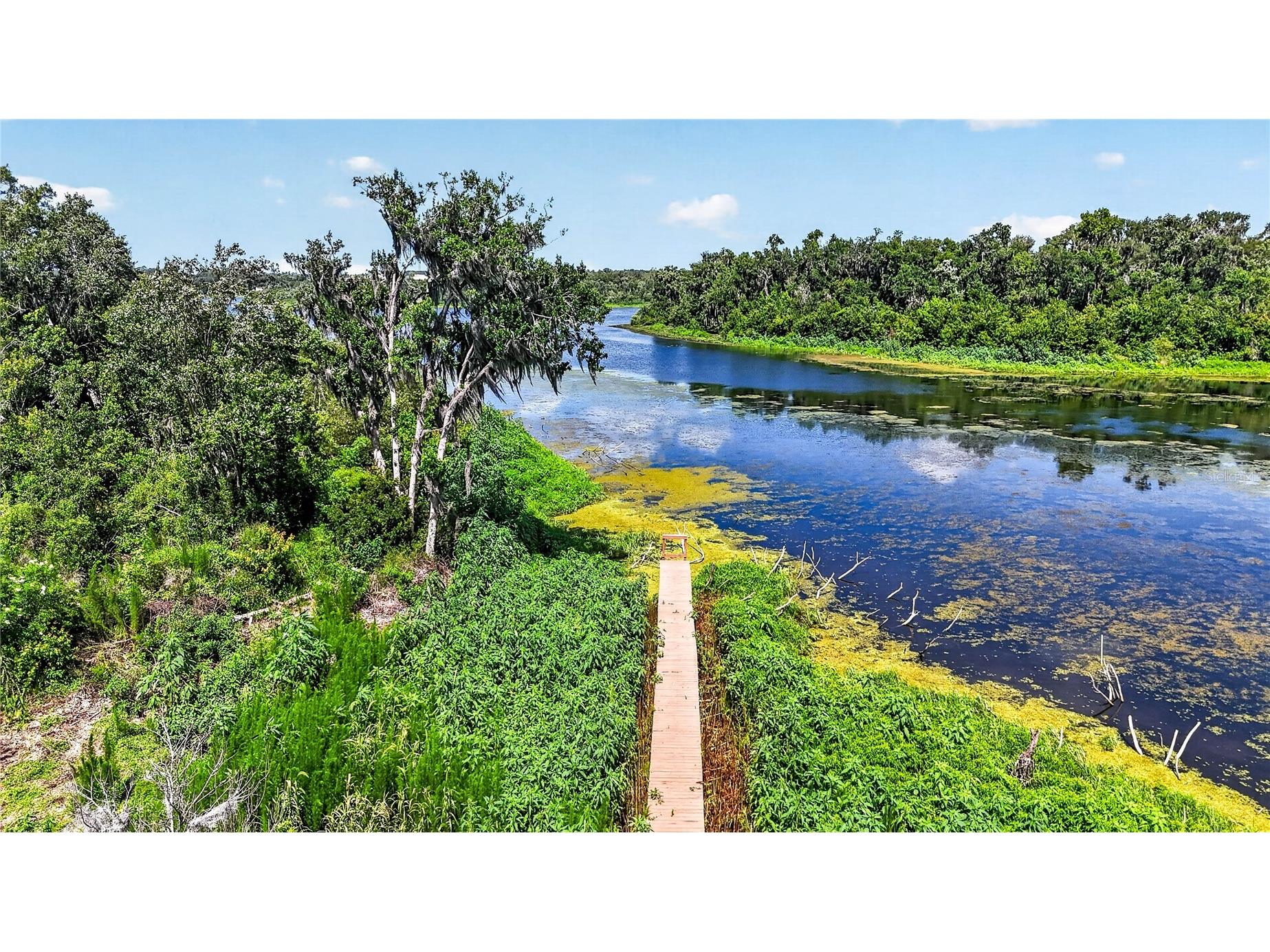 17265 Meadow Bluff View Dade City FL 33523 - Moody TB8517359 image7