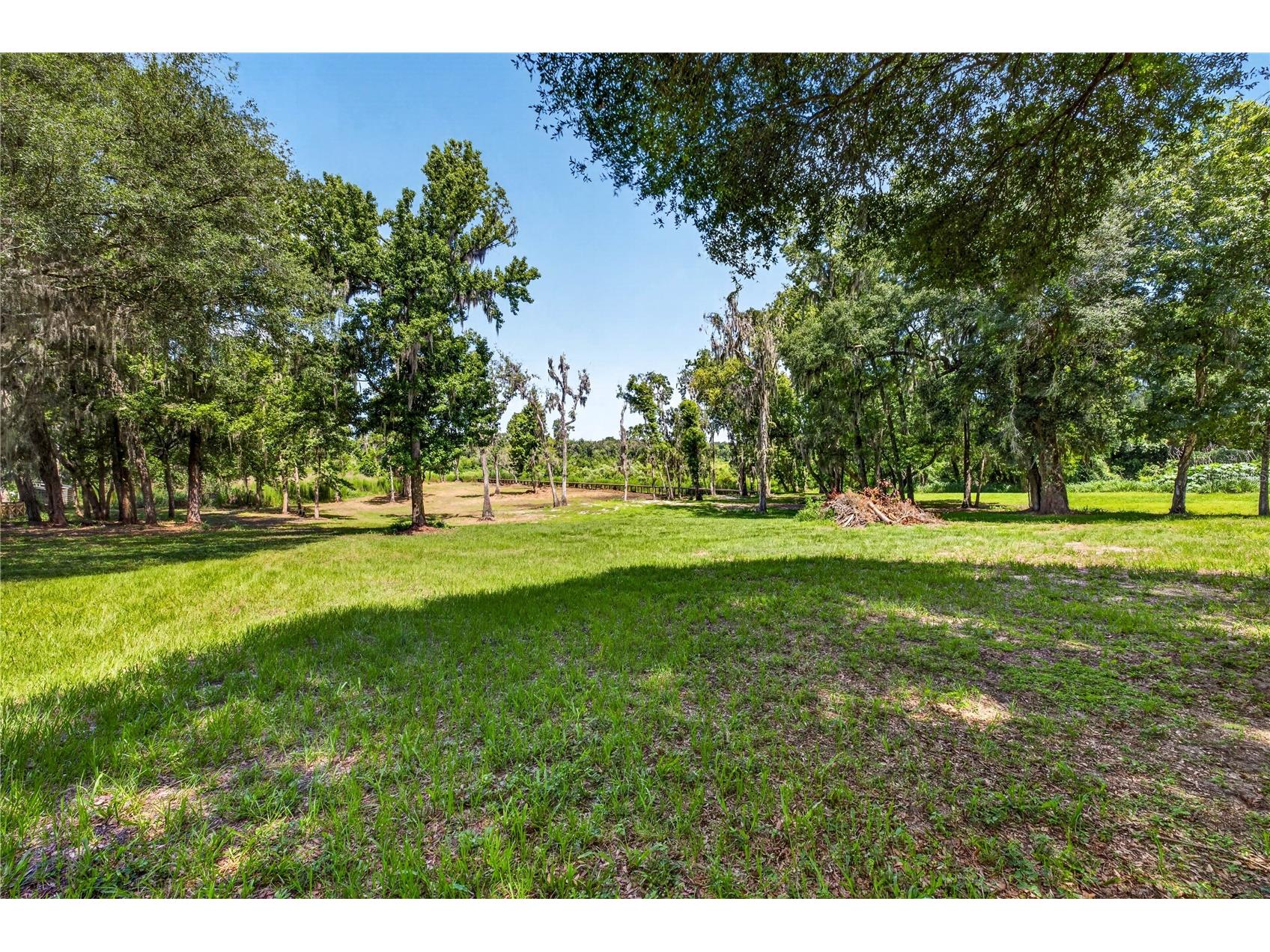 17265 Meadow Bluff View Dade City FL 33523 - Moody TB8517359 image71
