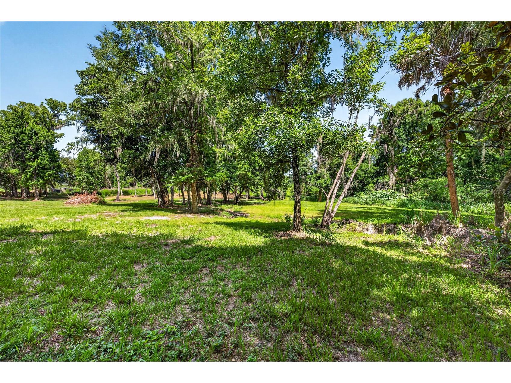 17265 Meadow Bluff View Dade City FL 33523 - Moody TB8517359 image73