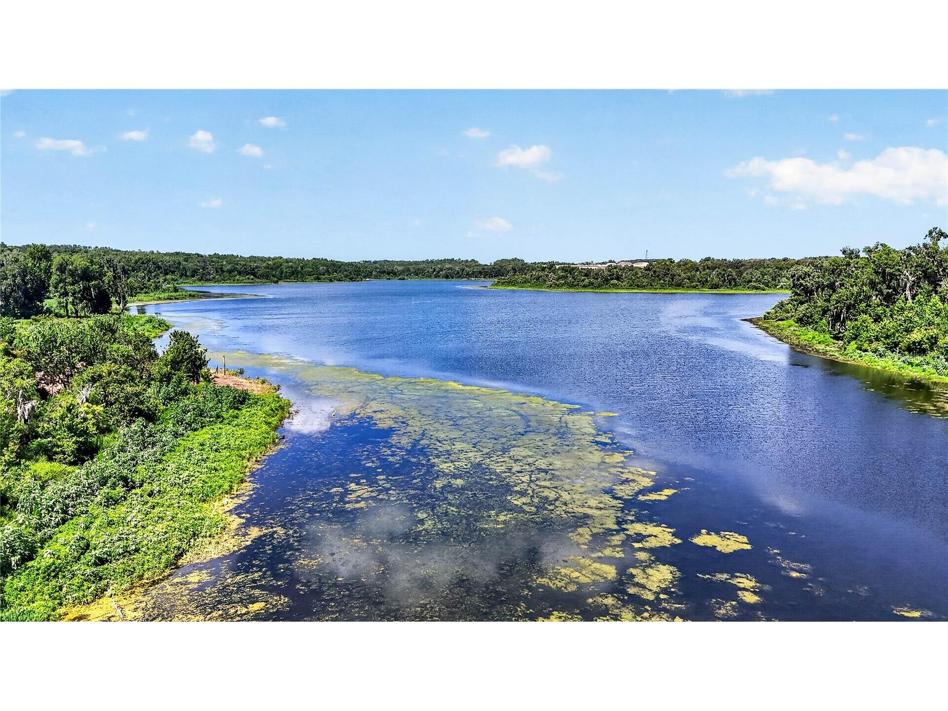 17265 Meadow Bluff View Dade City FL 33523 - Moody TB8517359 image8