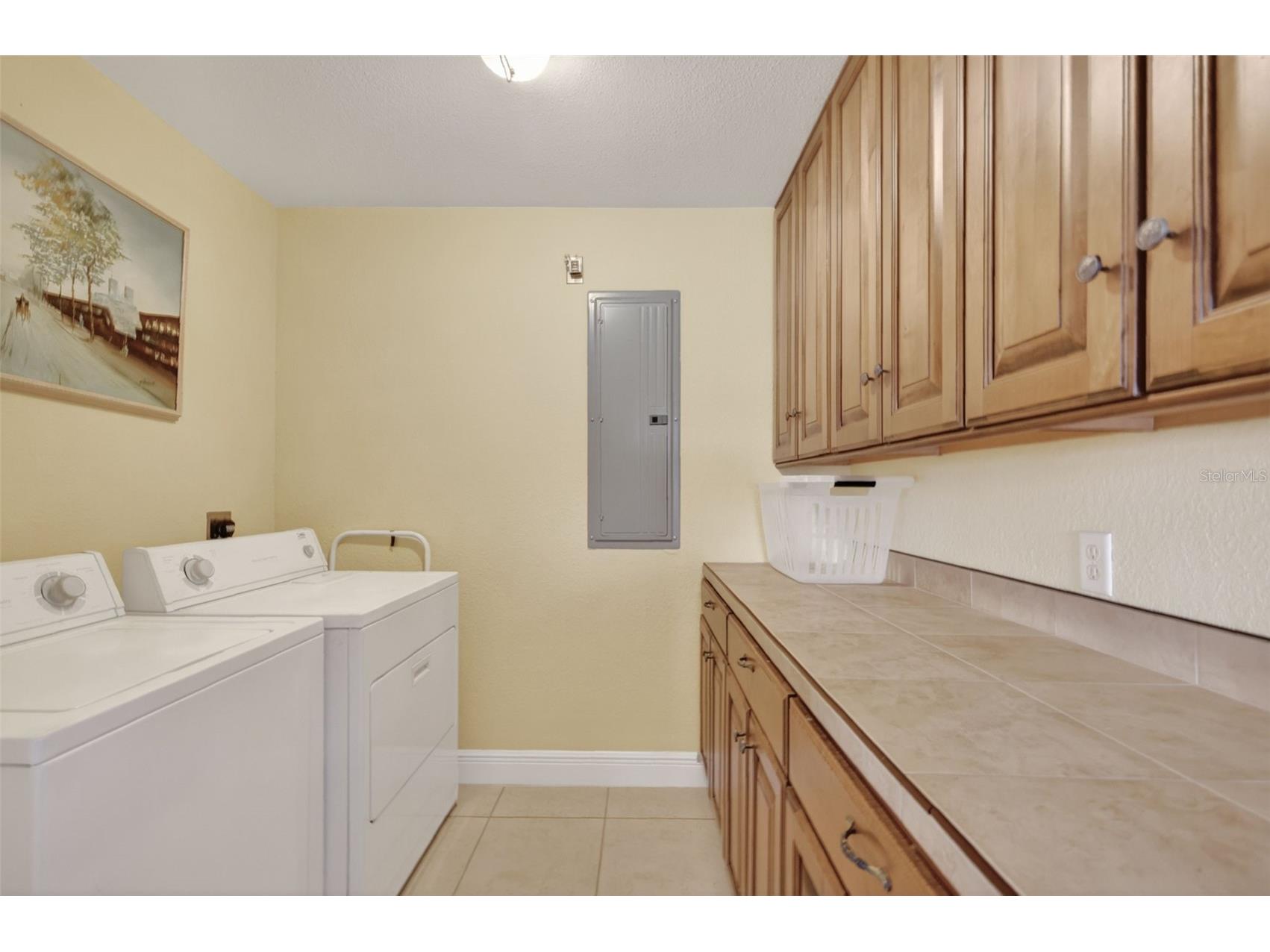 17269 SE 260th Avenue Road Umatilla FL 32784 - Ella Lake G5112952 image93