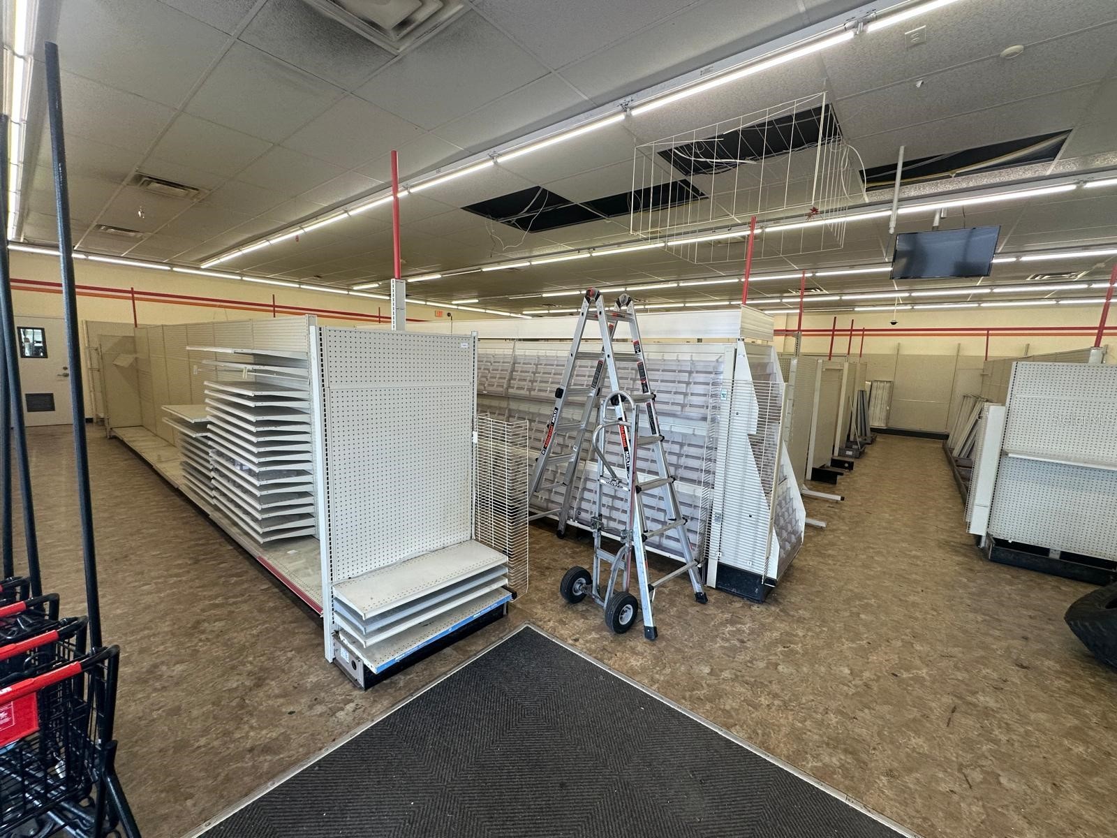 1727 E Busch Boulevard Tampa FL 33612 TB8524714 image13