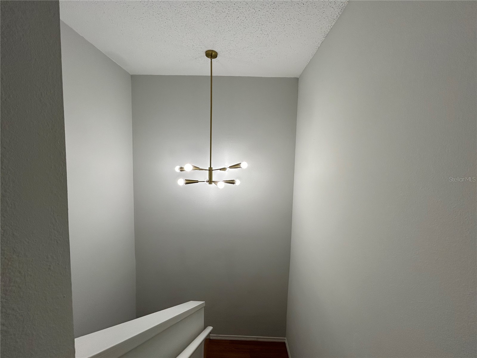 1727 Fluorshire Drive Brandon FL 33511 TB8518636 image10