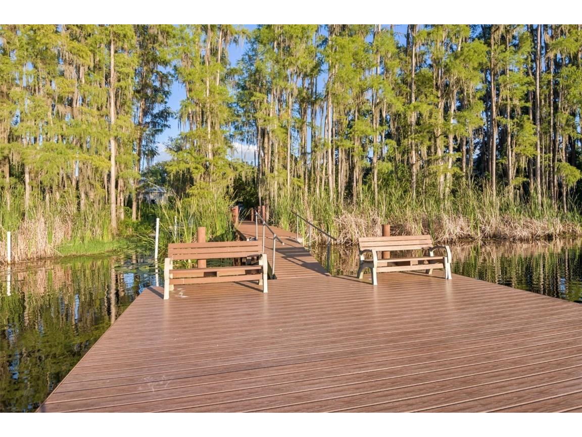 1727 Hammocks Avenue #BLDG 16 Lutz FL 33549 TB8437503 image30