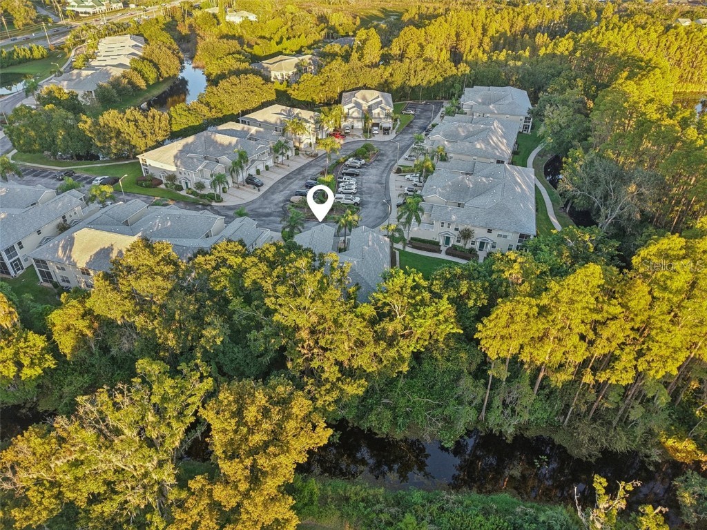 1727 Hammocks Avenue #BLDG 16 Lutz FL 33549 TB8437503 image31