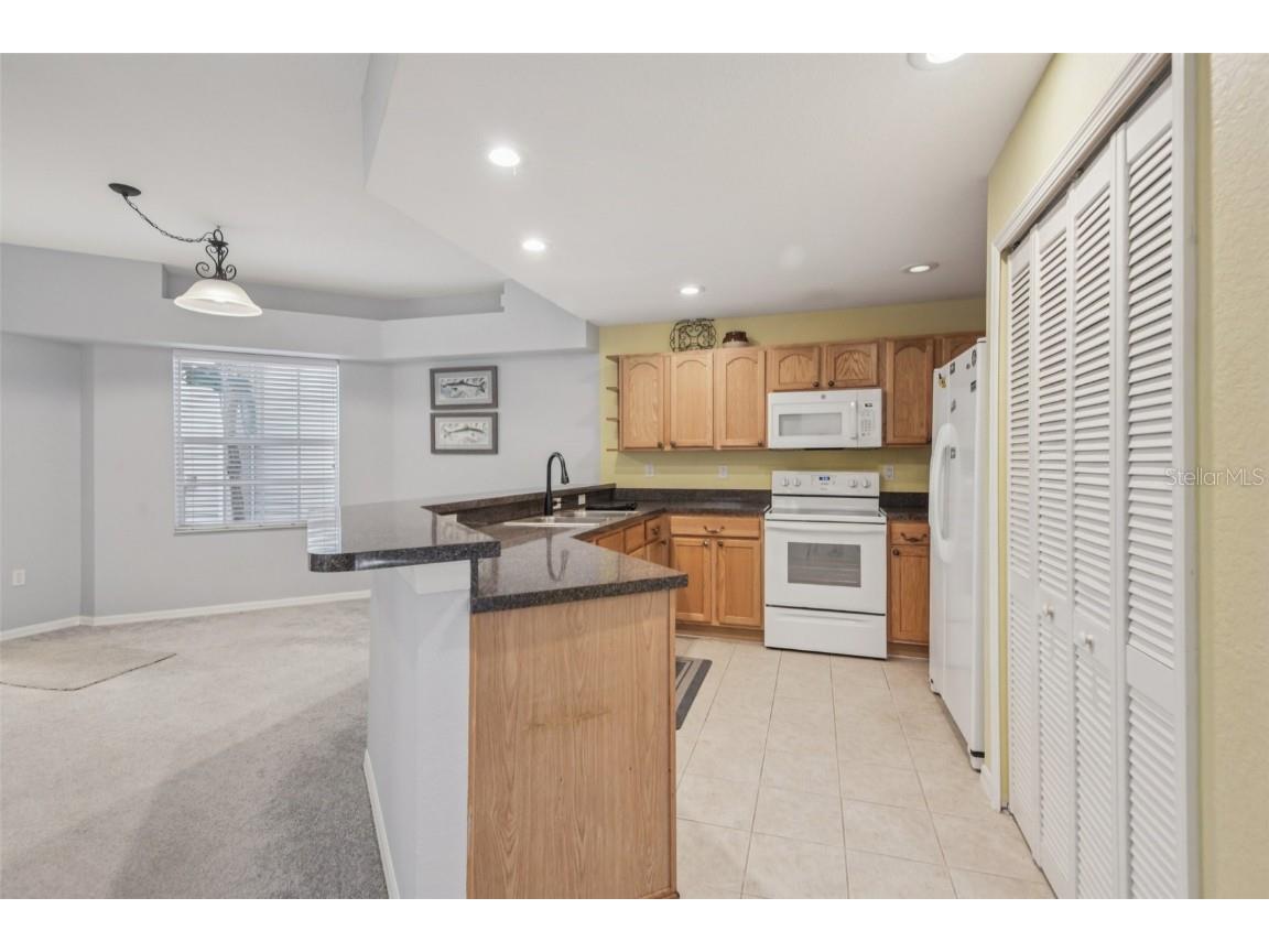 1727 Hammocks Avenue #BLDG 16 Lutz FL 33549 TB8437503 image7