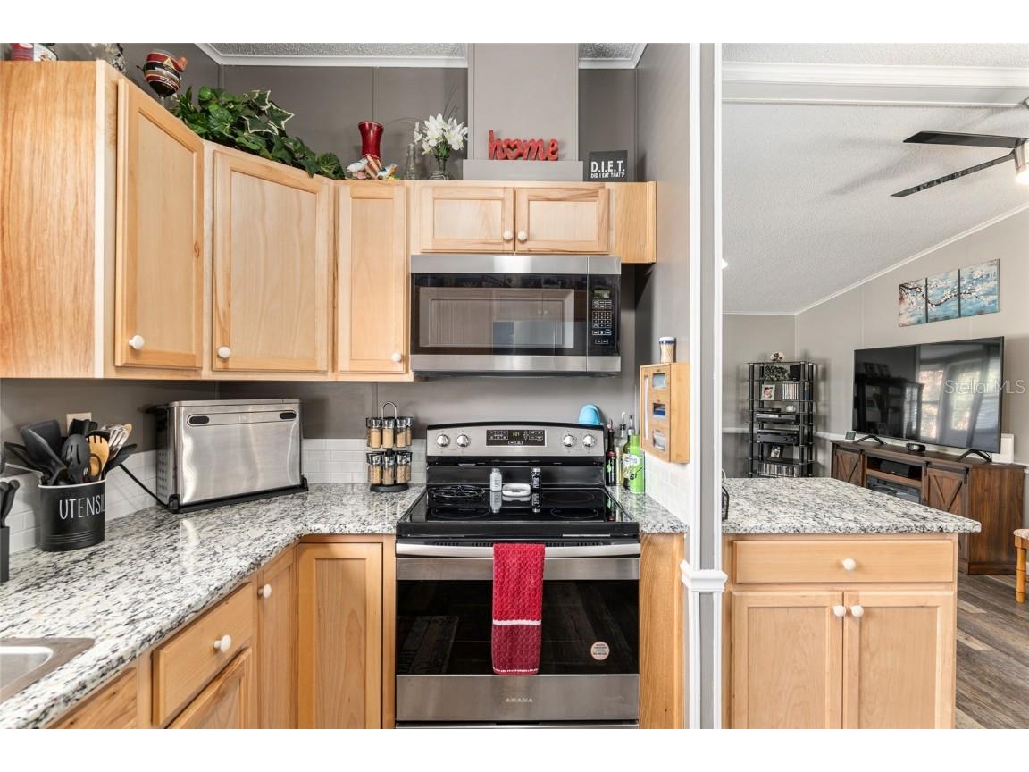 1727 Hilton Head Boulevard Lady Lake FL 32159 G5104951 image8