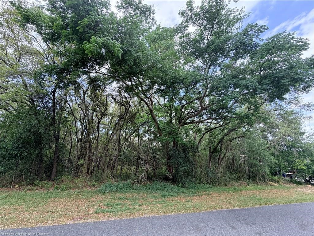 1727 N Berkley Road Avon Park FL 33825 P4939206 image1