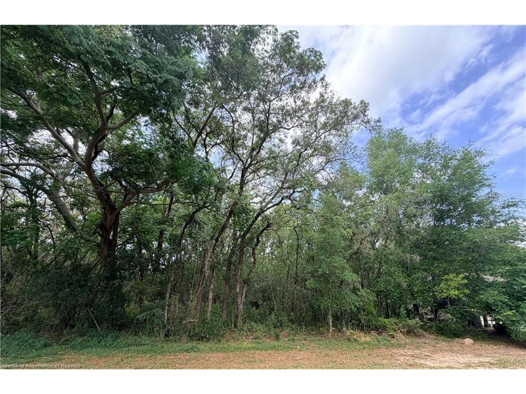 1727 N Berkley Road Avon Park FL 33825 P4939206 image2