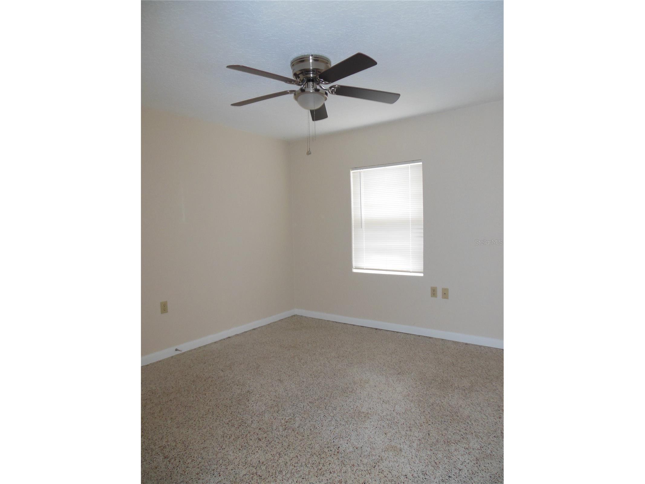 1727 Pine Avenue Deland FL 32724 V4947393 image4