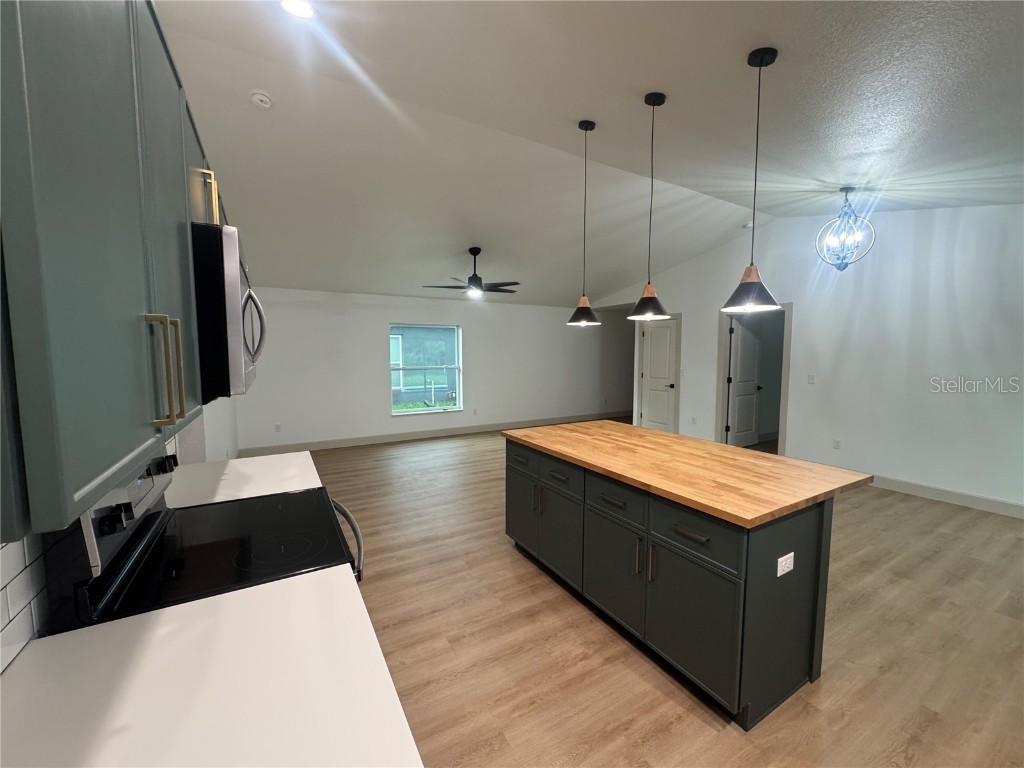 1727 SE Hargrave Street Arcadia FL 34266 A4656075 image14