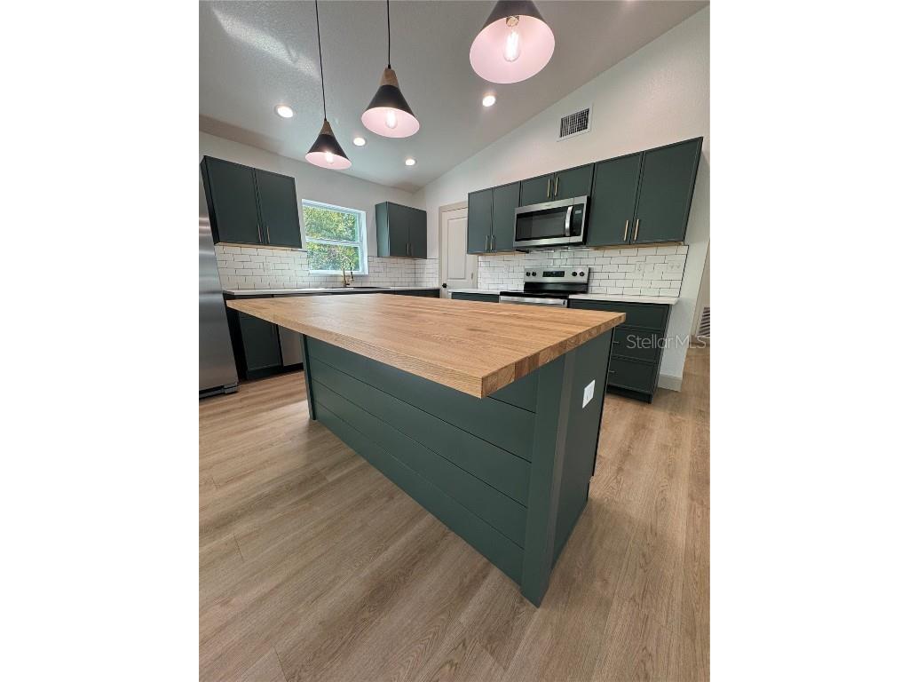 1727 SE Hargrave Street Arcadia FL 34266 A4656075 image16