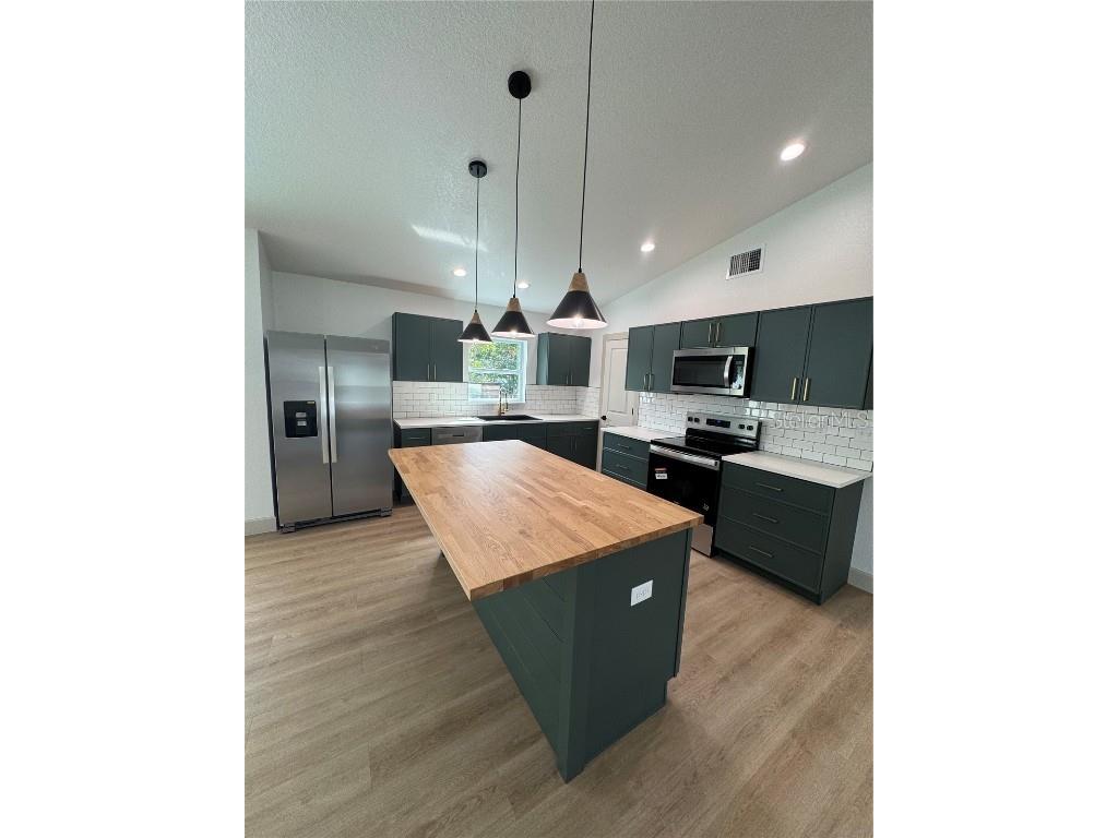 1727 SE Hargrave Street Arcadia FL 34266 A4656075 image17