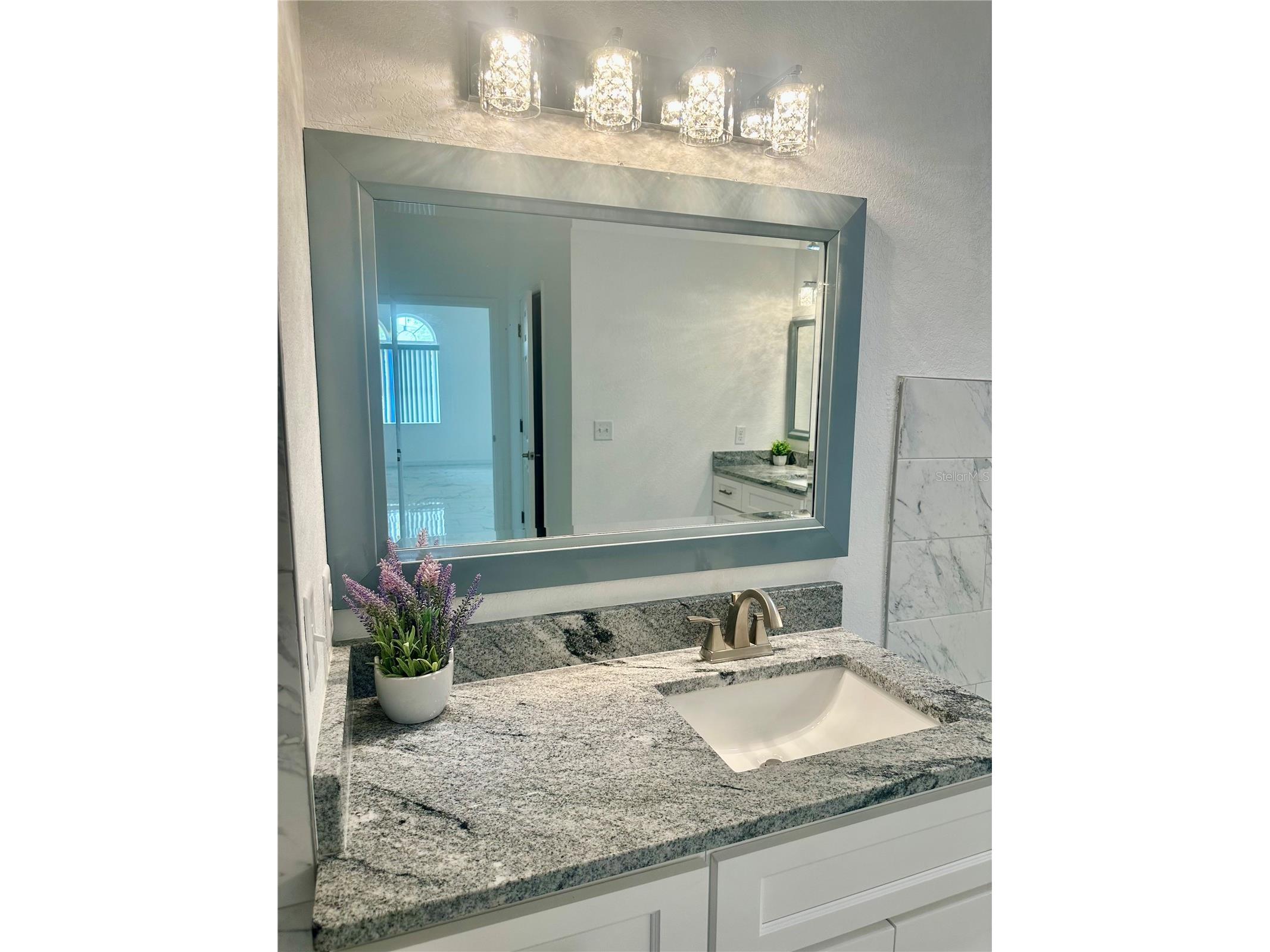 17271 E Peggy Ave. Avenue Mount Dora FL 32757 O6247978 image12