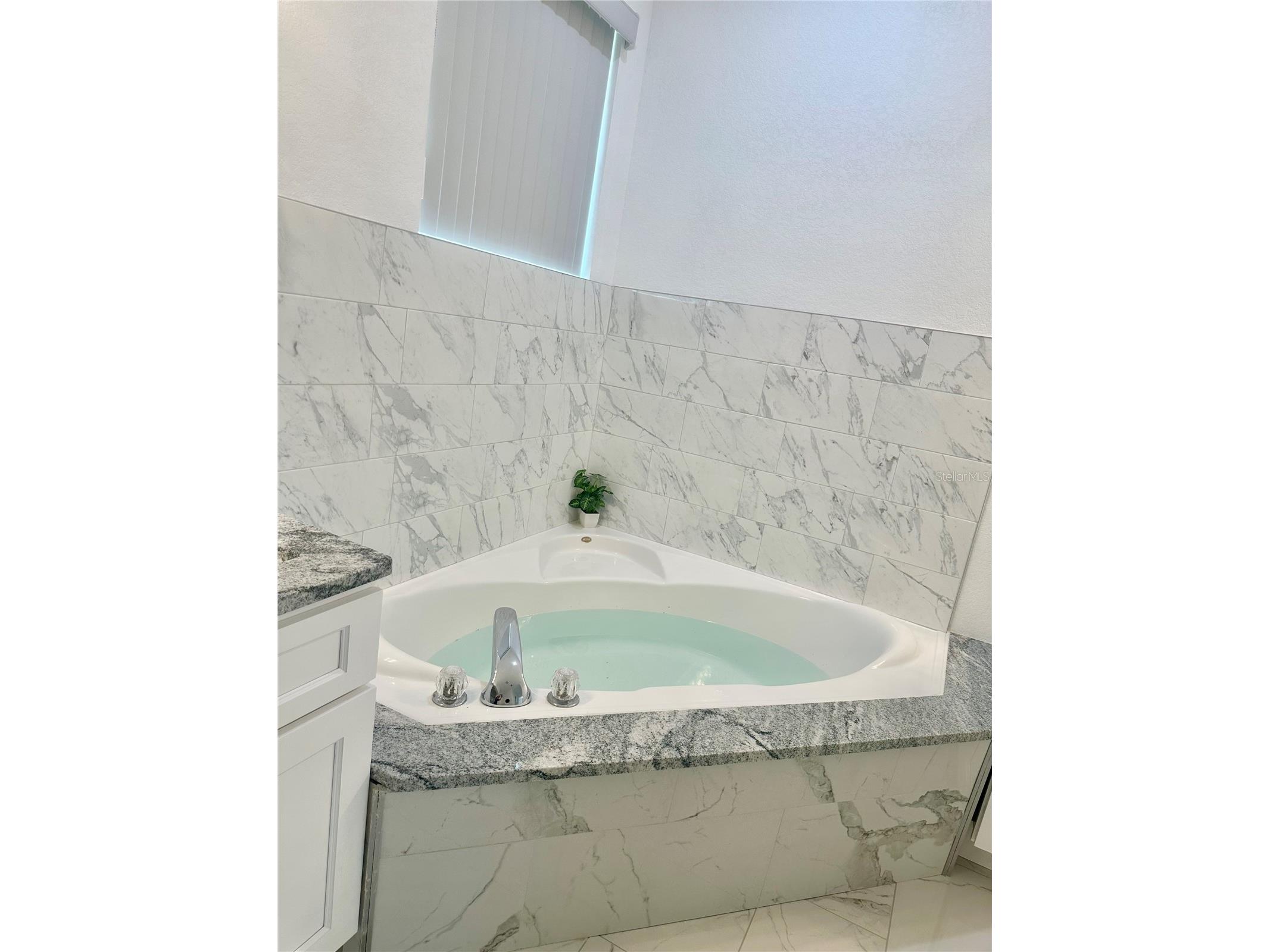 17271 E Peggy Ave. Avenue Mount Dora FL 32757 O6247978 image14