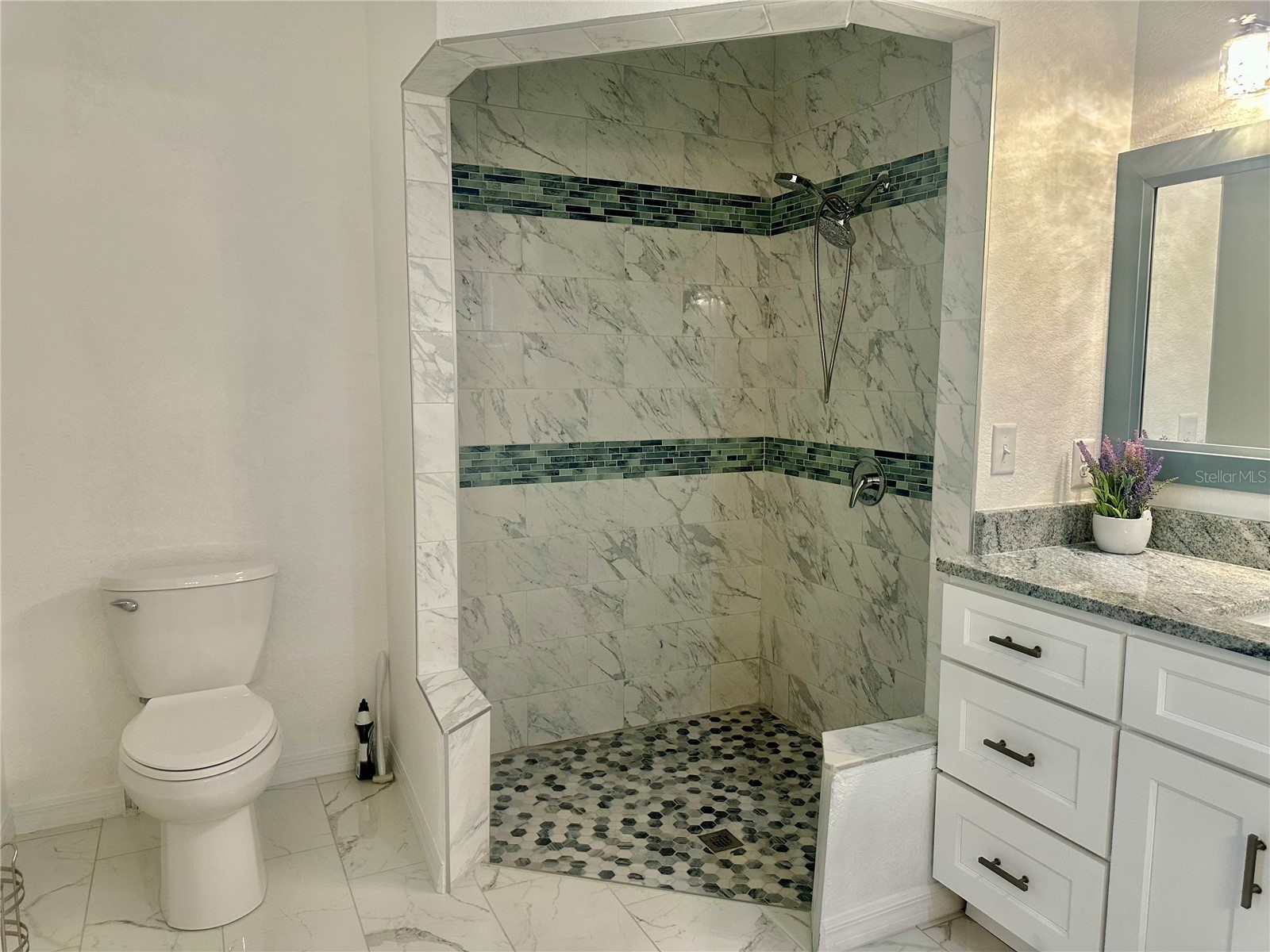17271 E Peggy Ave. Avenue Mount Dora FL 32757 O6247978 image15