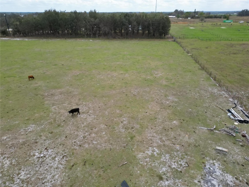 17273 Alderman Turner Road Wimauma FL 33598 TB8365572 image25