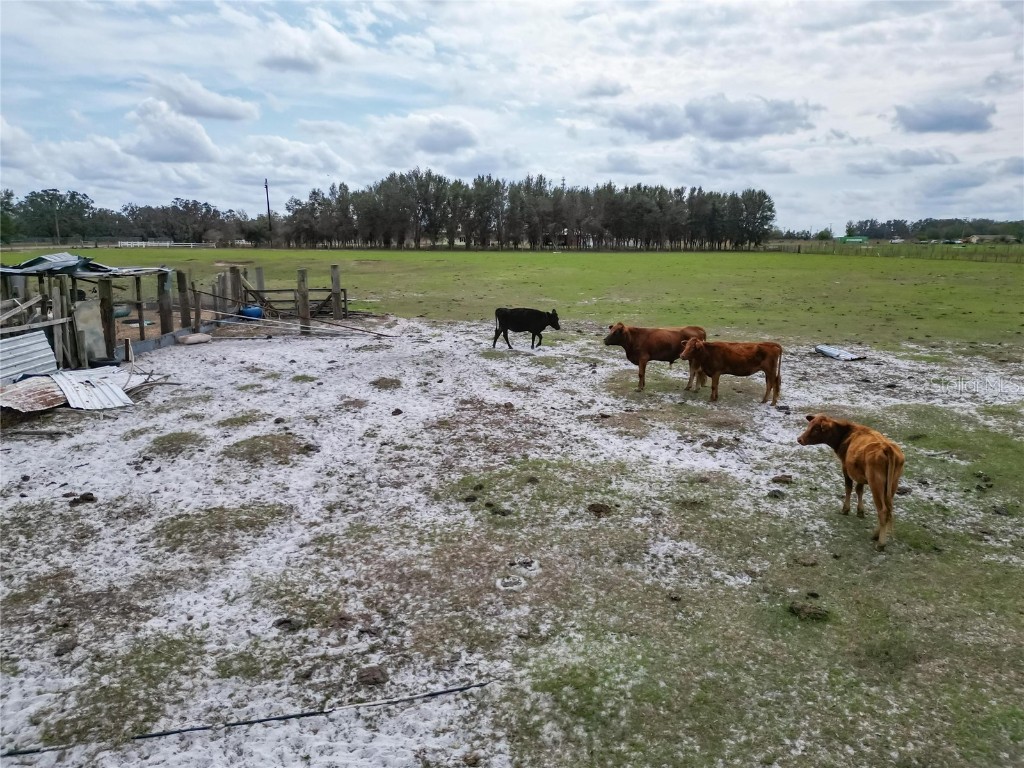 17273 Alderman Turner Road Wimauma FL 33598 TB8365572 image35