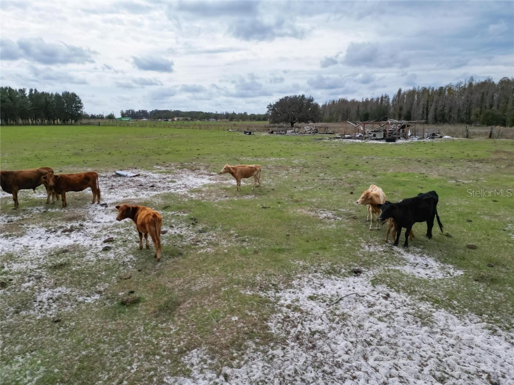 17273 Alderman Turner Road Wimauma FL 33598 TB8365572 image36