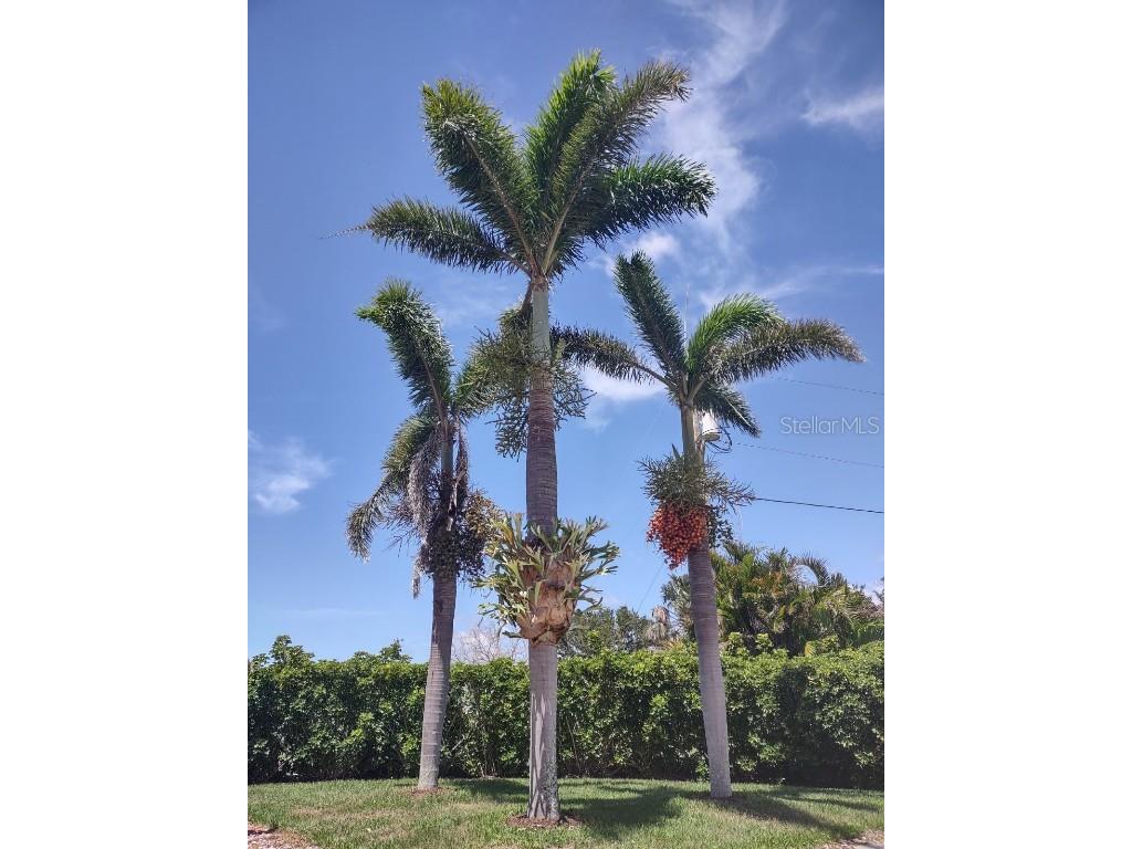 17274 Asmara Court Punta Gorda FL 33955 O6220514 image2