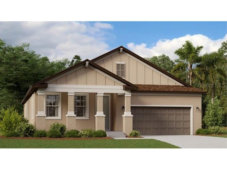 17278 Mango Shay Court Land O Lakes FL 34638 T3480824 image1