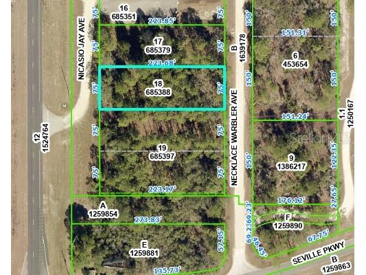 17279 Necklace Warbler Avenue Weeki Wachee FL 34614 O6076102 image1