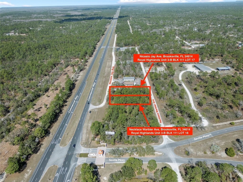 17279 Necklace Warbler Avenue Weeki Wachee FL 34614 TB8351078 image1