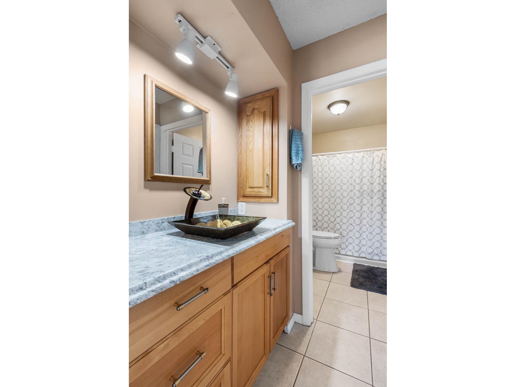 1728 Coco Palm Circle Sun City Center FL 33573 TB8482594 image16