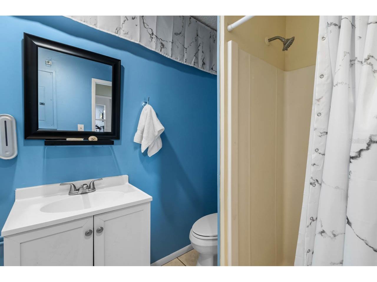 1728 Coco Palm Circle Sun City Center FL 33573 TB8482594 image18