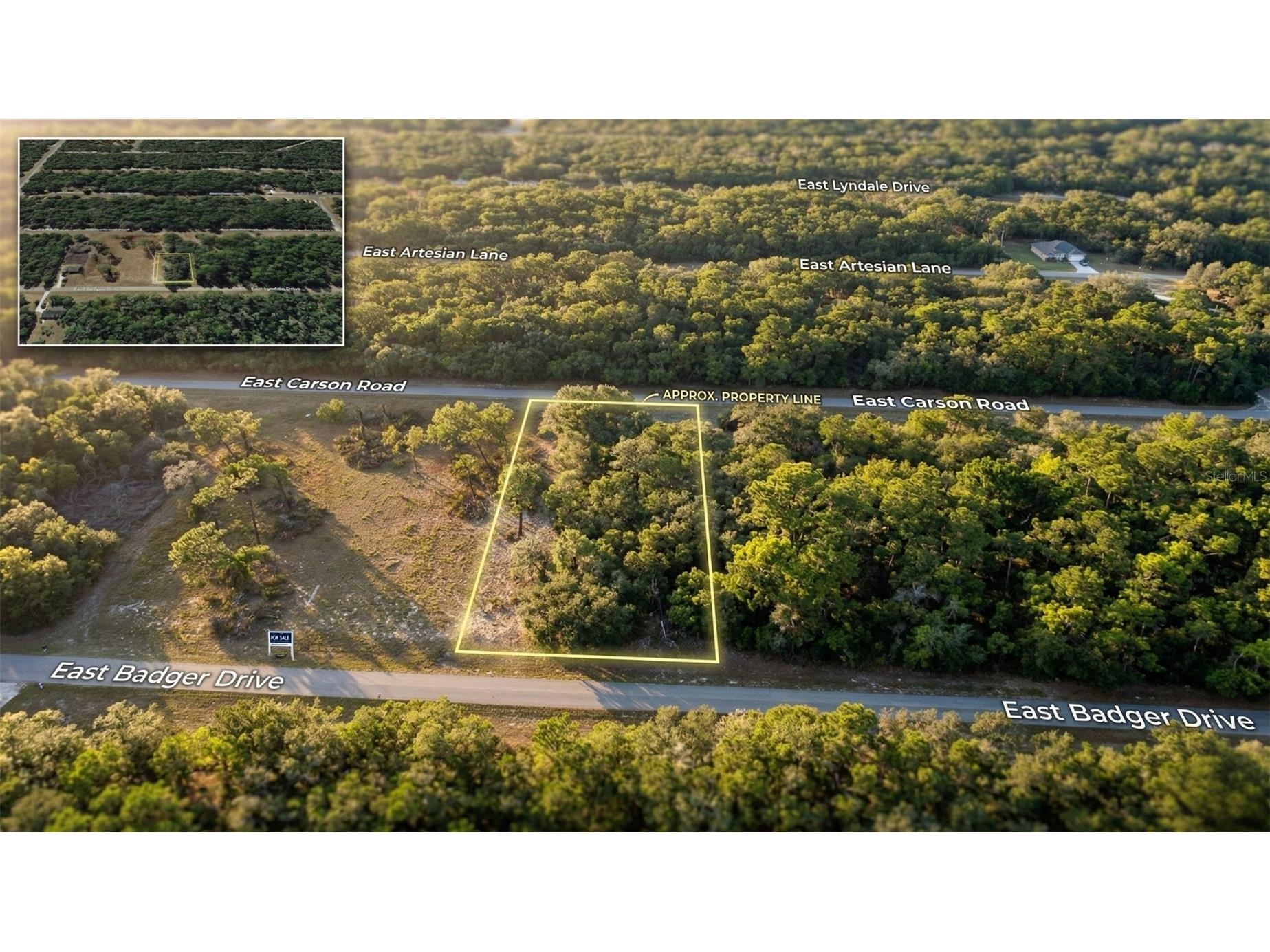 1728 E Badger Drive Dunnellon FL 34434 W7884644 image1