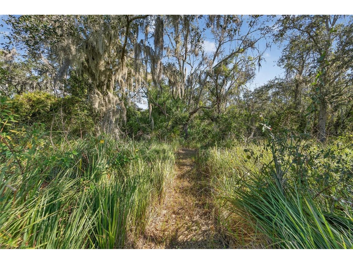 1728 Fred Ives Street Ruskin FL 33570 TB8458703 image52