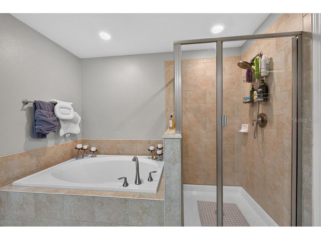 17280 Old Tobacco Road Lutz FL 33558 TB8521441 image23