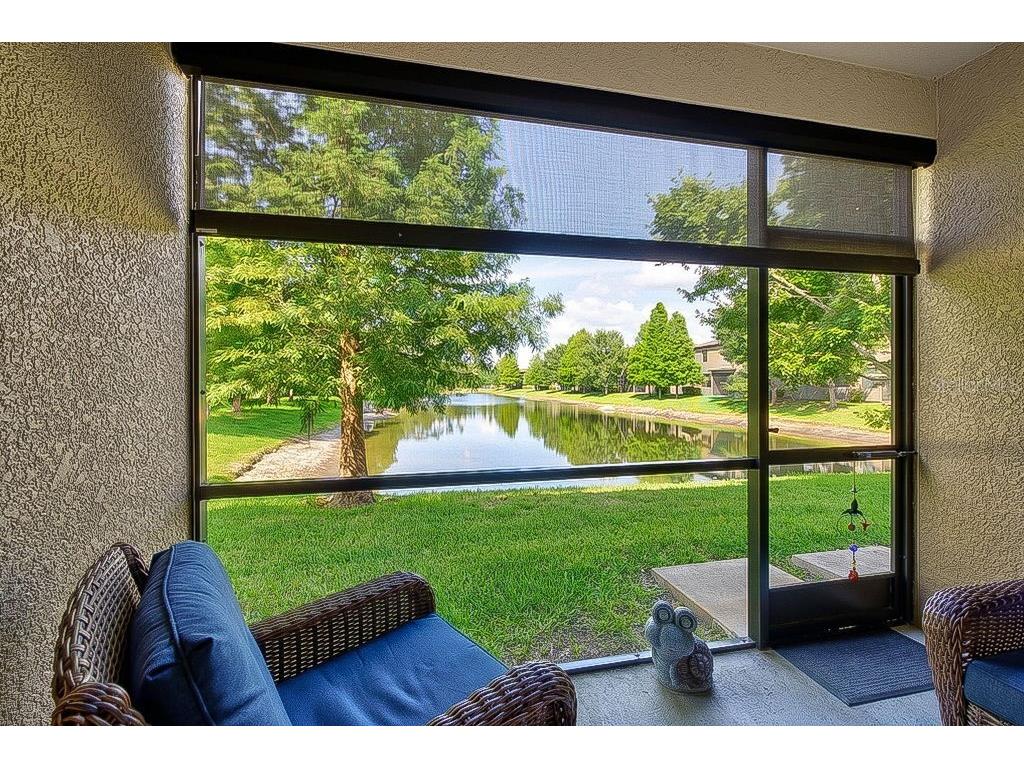 17280 Old Tobacco Road Lutz FL 33558 TB8521441 image32