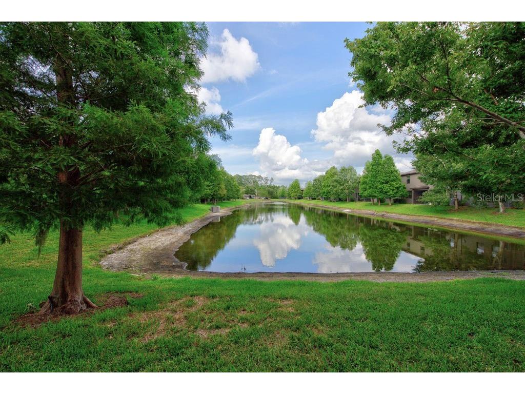 17280 Old Tobacco Road Lutz FL 33558 TB8521441 image33
