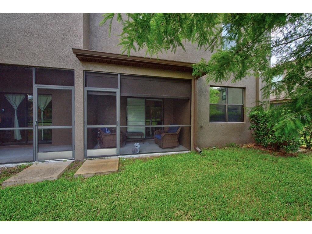 17280 Old Tobacco Road Lutz FL 33558 TB8521441 image35