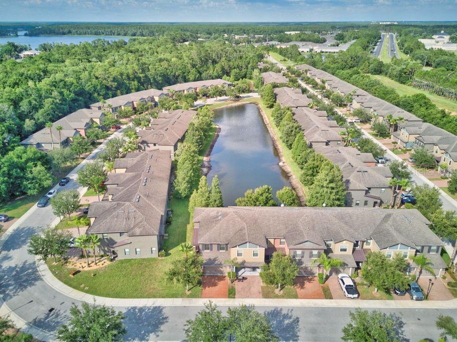 17280 Old Tobacco Road Lutz FL 33558 TB8521441 image42