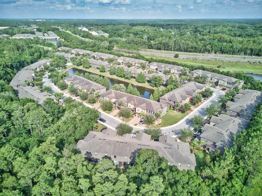 17280 Old Tobacco Road Lutz FL 33558 TB8521441 image43