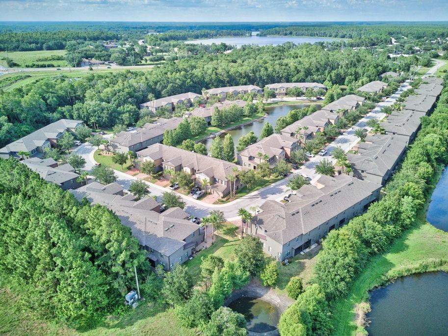 17280 Old Tobacco Road Lutz FL 33558 TB8521441 image44