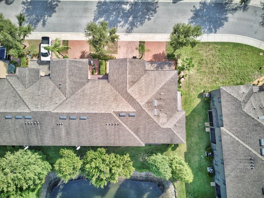 17280 Old Tobacco Road Lutz FL 33558 TB8521441 image45