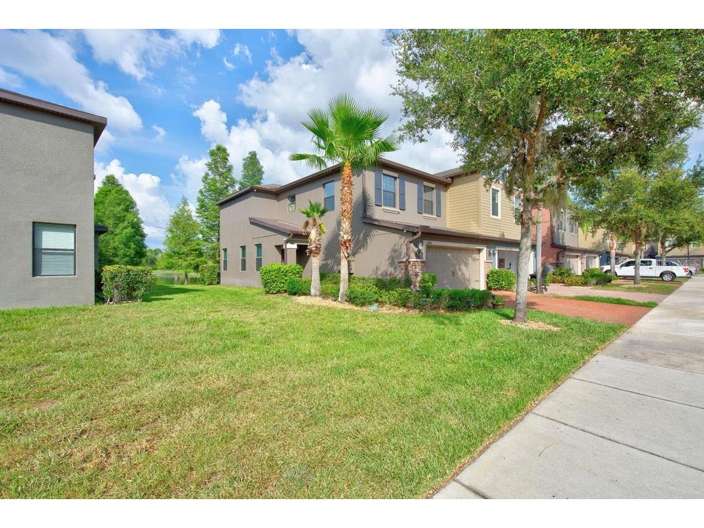 17280 Old Tobacco Road Lutz FL 33558 TB8521441 image46
