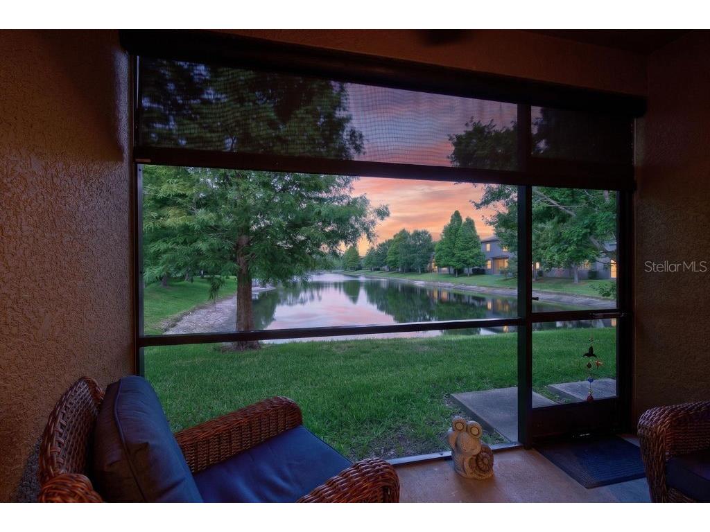 17280 Old Tobacco Road Lutz FL 33558 TB8521441 image48