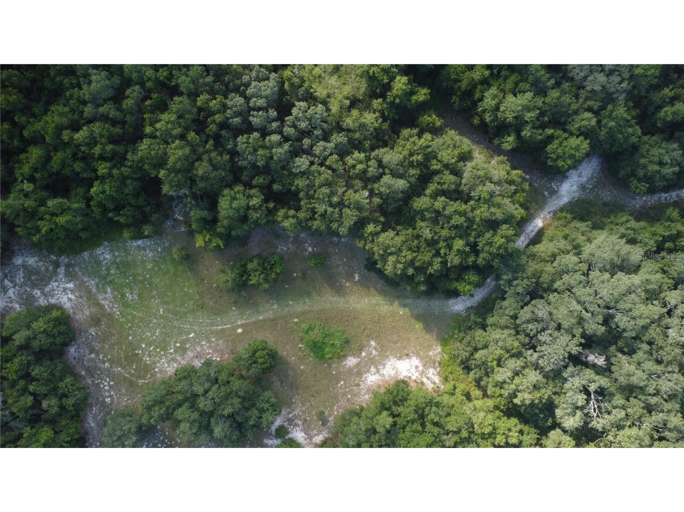 17281 SE 130th Weirsdale FL 32195 O6349653 image14